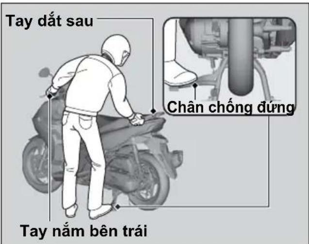 Tay đất sau Chân chống đúng Tay nằm bên trái