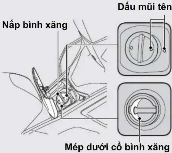 Nắp bình xăng Dấu mũi tên Mép dưới cổ bình xăng