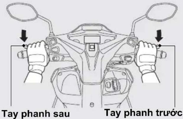 Tay phanh sau Tay phanh trước