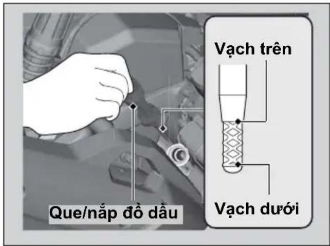 Que/nắp đồ dầu Vạch trên Vạch dưới