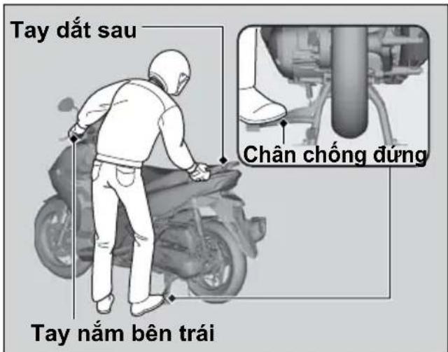 Tay đất sau Chân chống đúng Tay nằm bên trái