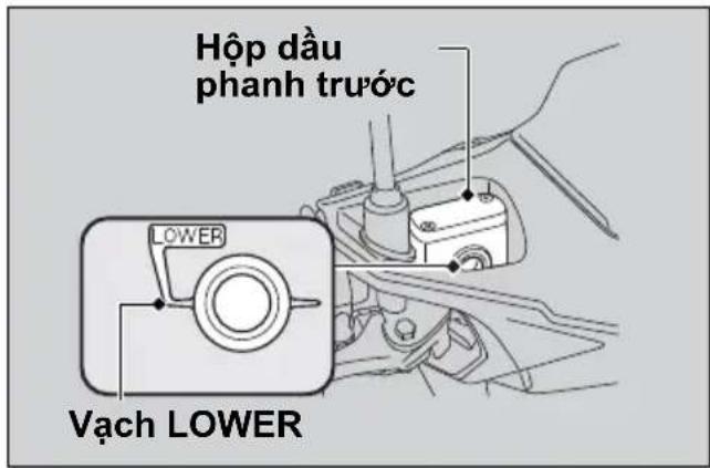 Hộp dàu phanh trước LOWER Vạch LOWER