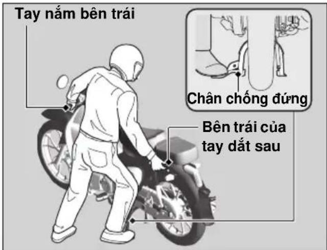 Tay nám bên trái Chân chống đúng Bên trái của tay đất sau
