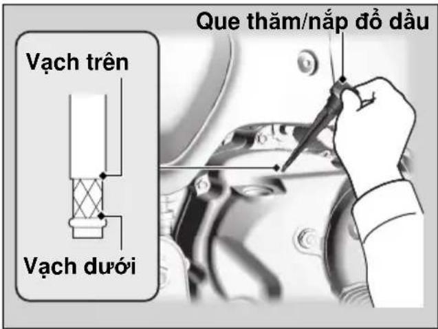 Que thăm/nắp đồ đầu Vạch trên Vạch dưới