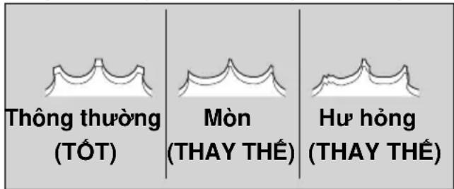 Thông thường (TỐT) Mòn (THAY THẾ) Huế hòng (THAY THẾ)
