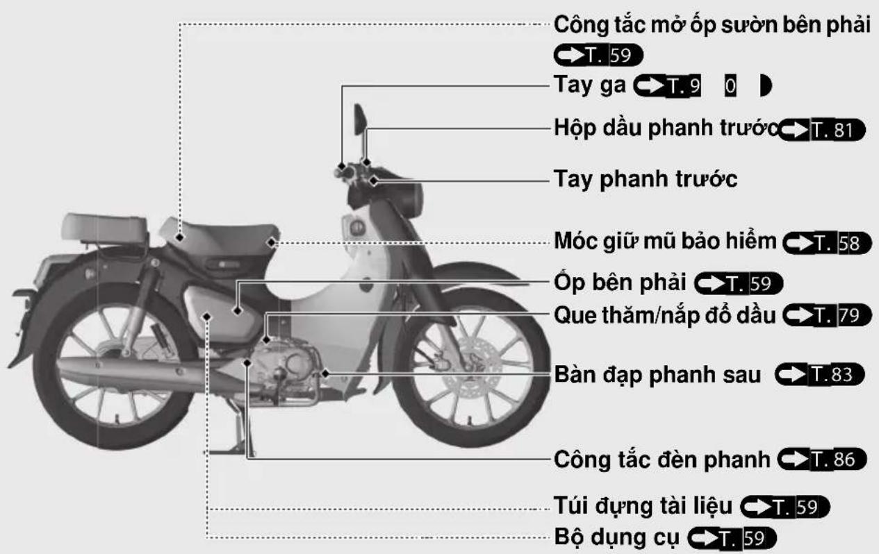Công tắc mở ốp suòn bên phải →T. 59 Tay ga →T. 9 0 Hộp dầu phanh trước →T. 81 Tay phanh trước Móc giữ mũ bảo hiểm →T. 58 Ốp bên phải →T. 59 Que thăm/nắp đồ dầu →T. 79 Bàn đạp phanh sau →T. 83 Công tắc đèn phanh →T. 86 Túi dựng tài liệu →T. 59 Bộ dụng cụ →T. 59