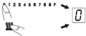 1 2 3 4 5 6 7 8 9 P 0