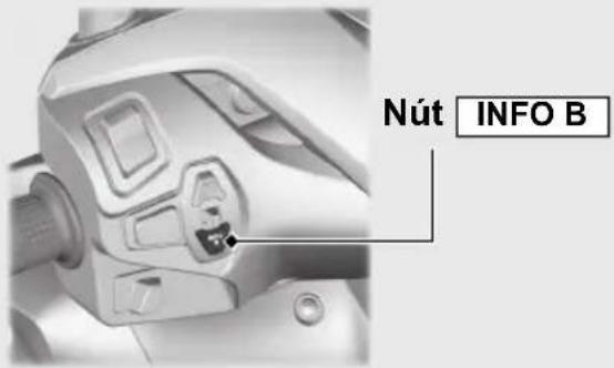 Nút INFO B