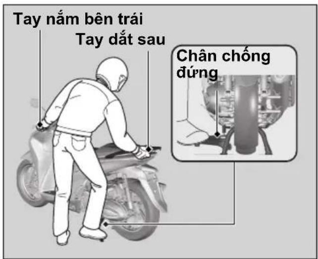 Tay nám bên trái Tay đất sau Chân chống đúng