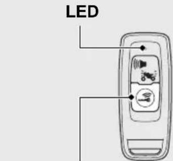 LED