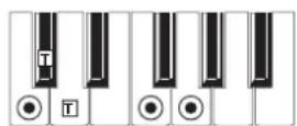 KORG MicroARRANGER - RECOGNIZED CHORDS - 8