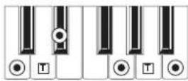 KORG MicroARRANGER - RECOGNIZED CHORDS - 25