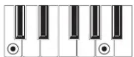 KORG MicroARRANGER - RECOGNIZED CHORDS - 4