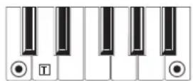 KORG MicroARRANGER - RECOGNIZED CHORDS - 7