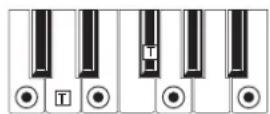 KORG MicroARRANGER - RECOGNIZED CHORDS - 5