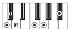 KORG MicroARRANGER - RECOGNIZED CHORDS - 14