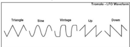 KORG MicroARRANGER - a:LFO Waveform - 1