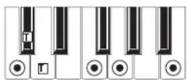 KORG MicroARRANGER - RECOGNIZED CHORDS - 18