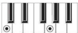 KORG MicroARRANGER - RECOGNIZED CHORDS - 33
