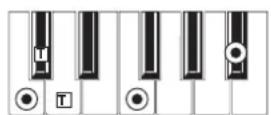 KORG MicroARRANGER - RECOGNIZED CHORDS - 15
