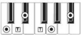 KORG MicroARRANGER - RECOGNIZED CHORDS - 23
