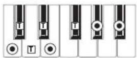 KORG MicroARRANGER - RECOGNIZED CHORDS - 31