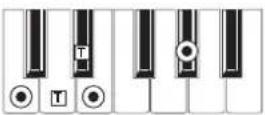 KORG MicroARRANGER - RECOGNIZED CHORDS - 30