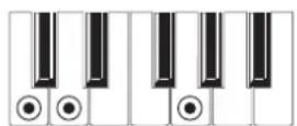 KORG MicroARRANGER - RECOGNIZED CHORDS - 10