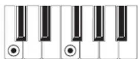KORG MicroARRANGER - RECOGNIZED CHORDS - 9