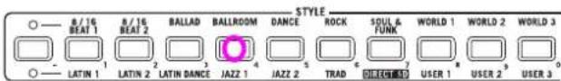 KORG MicroARRANGER - OK, select your favorite musical Style. - 2