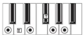 KORG MicroARRANGER - RECOGNIZED CHORDS - 3