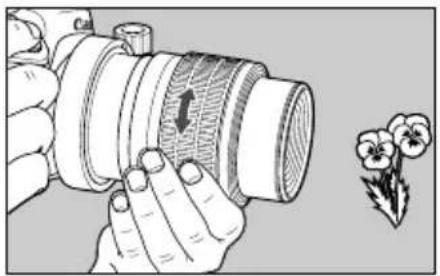 CANON MP-E 65mm f/2.8 1-5x Macro Photo - - Setting the Magnification First - 3