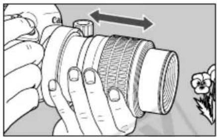 CANON MP-E 65mm f/2.8 1-5x Macro Photo - - Setting the Magnification First - 2