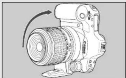 CANON MP-E 65mm f/2.8 1-5x Macro Photo - Using the Tripod Mount - 2