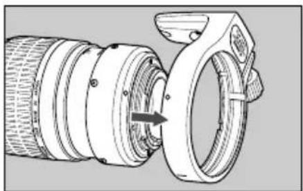 CANON MP-E 65mm f/2.8 1-5x Macro Photo - Detaching - 3