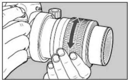 CANON MP-E 65mm f/2.8 1-5x Macro Photo - - Setting the Magnification First - 1