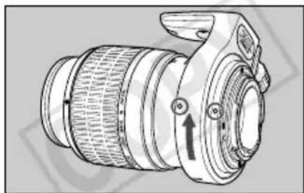 CANON MP-E 65mm f/2.8 1-5x Macro Photo - Detaching - 2