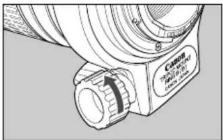 CANON MP-E 65mm f/2.8 1-5x Macro Photo - Detaching - 1