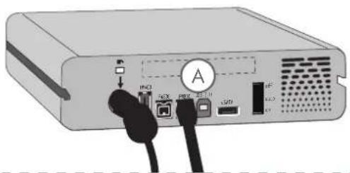 LACIE d2 Quadra v3 2 TB - 3.2.c. Connecting the FireWire 800 Interface Cable - 1