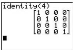 TEXAS INSTRUMENTS TI-84 - identity( - 1