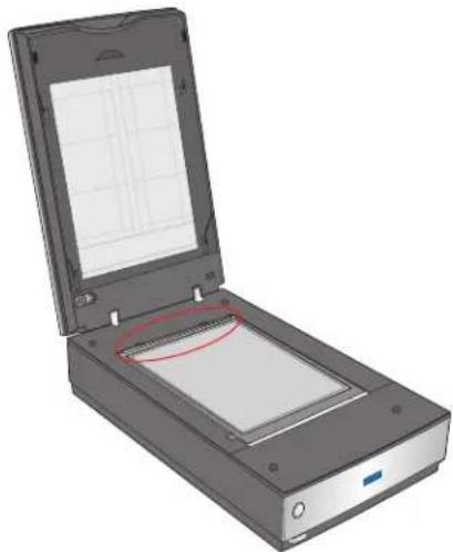 EPSON Perfection V750 Pro Photo - Placing Film in the Film Area Guide - 5