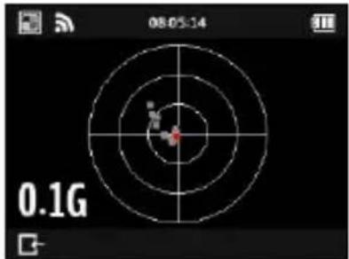 Qstarz LT-Q6000 10Hz - G-Meter: - 1