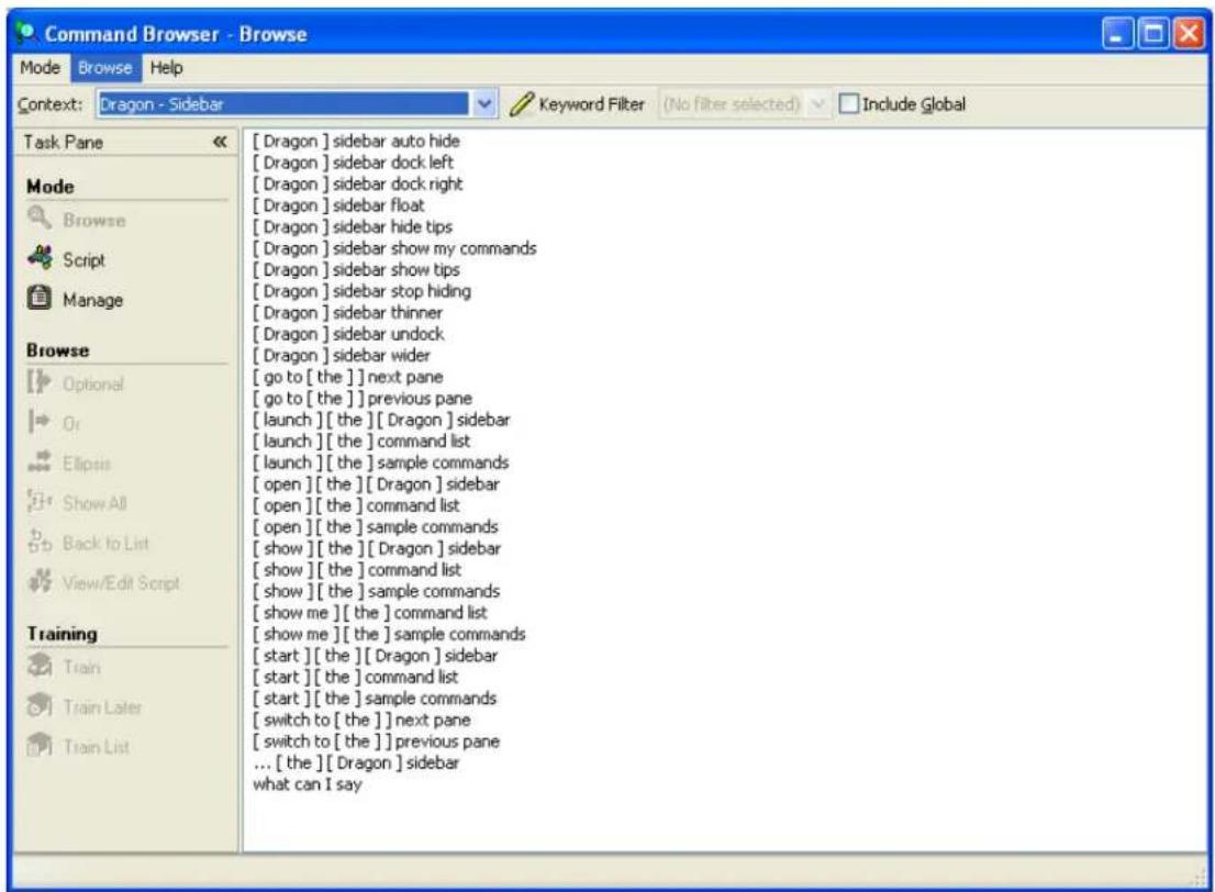 NUANCE Dragon Naturally Speaking Premium 12.0 Mobile - Global Commands - 1