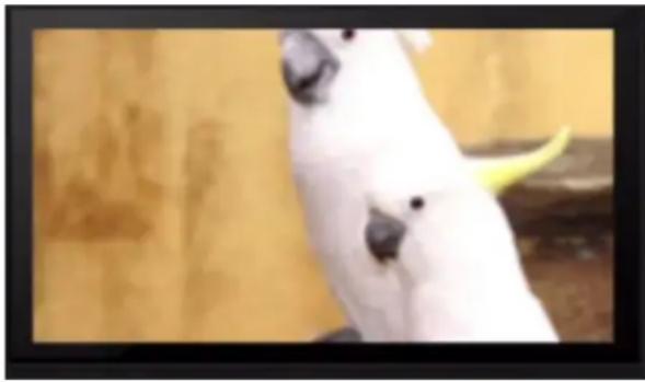 Syabas Popcorn Hour A-300 - Video Zoom - 2