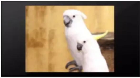 Syabas Popcorn Hour A-300 - Video Zoom - 1