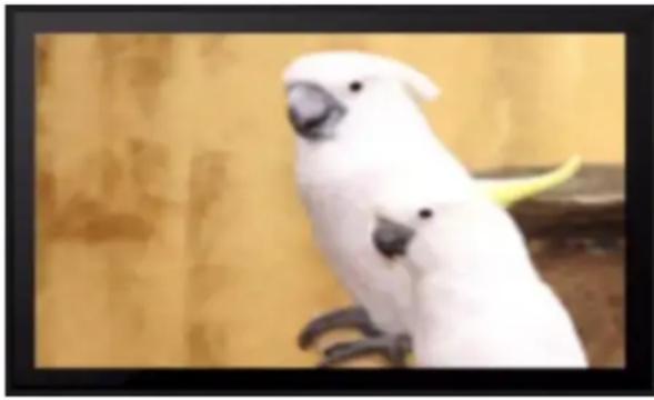 Syabas Popcorn Hour A-300 - Video Zoom - 3
