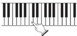 CASIO CDP-220 - Try playing something on the keyboard. Use ① to adjust volume. - 1