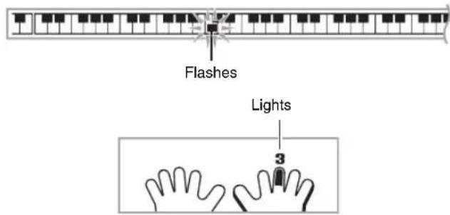 CASIO CDP-220 - Play notes on the keyboard in accordance with the instructions provided on the display and by voice fingering guide. - 1