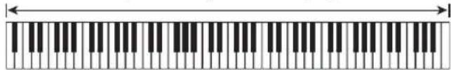 CASIO CDP-220 - ■FULL RANGE CHORD - 2