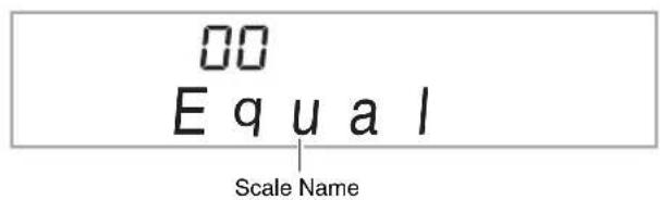 CASIO CDP-220 - Changing the Scale of the Keyboard - 2